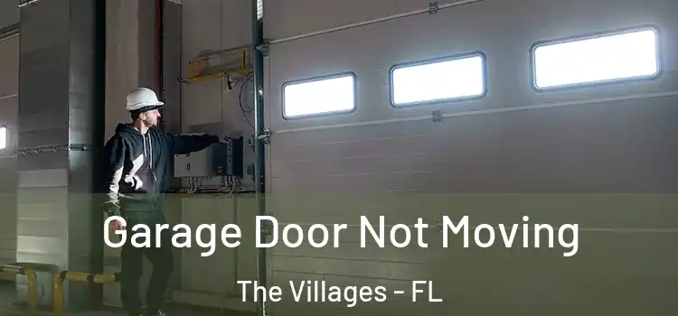  Garage Door Not Moving The Villages - FL